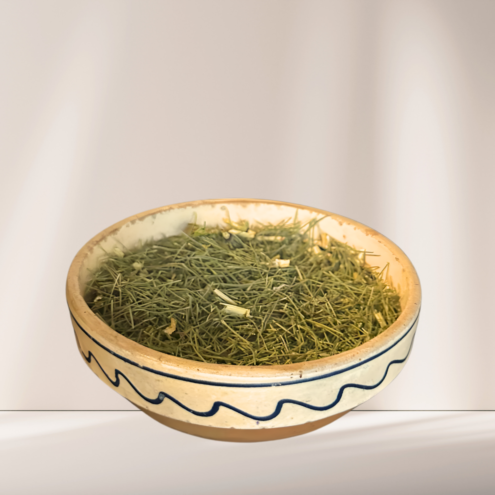 Coada-calului (100g)