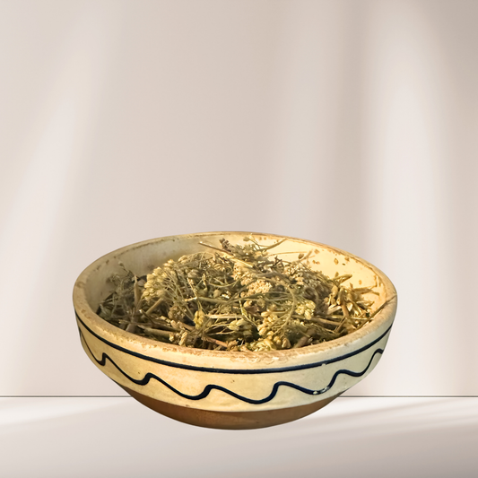 Coada-șoricelului (100gr)