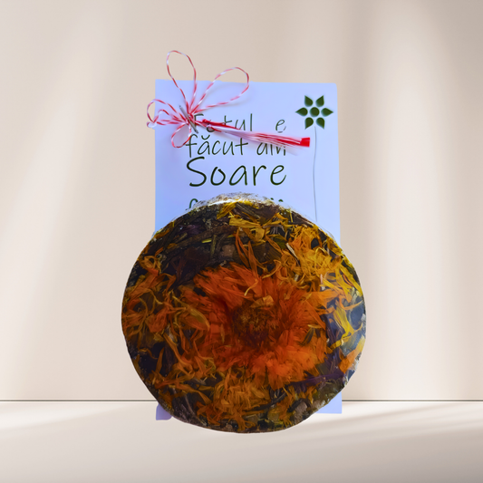 Mărțișor turtiță Scut