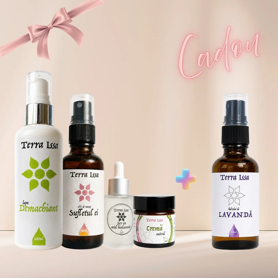 Pachet Atelier masaj facial + Protocol pentru masajul tenului